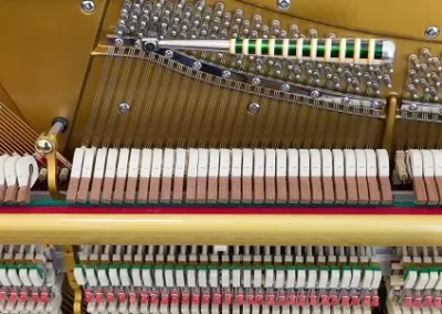 Dependable Piano Tuner